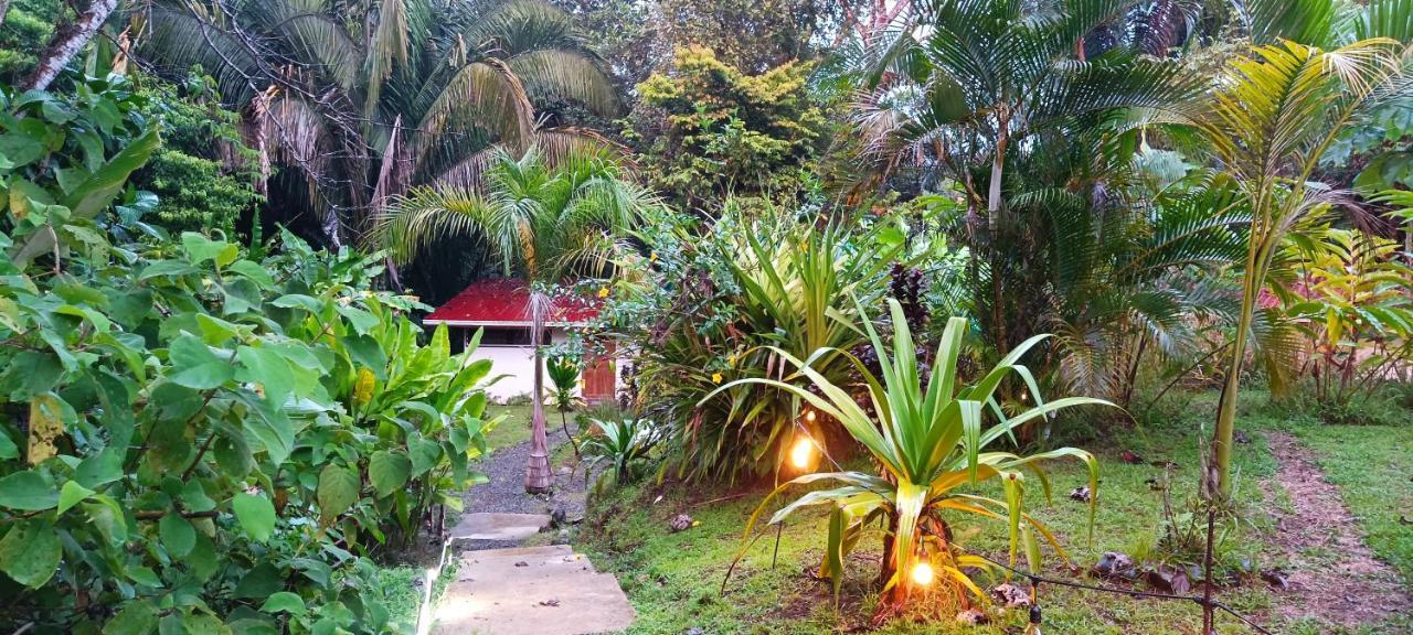 קפוס Selva Linda Lodge Vacation Rentals מראה חיצוני תמונה