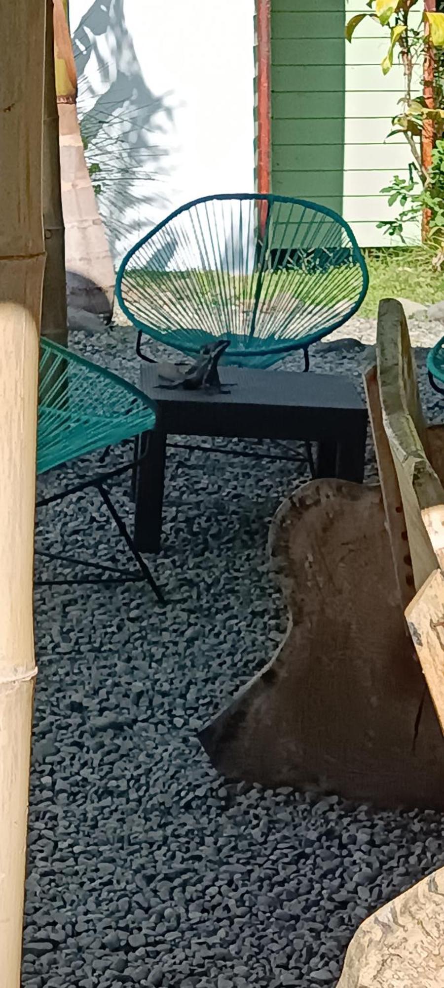קפוס Selva Linda Lodge Vacation Rentals מראה חיצוני תמונה