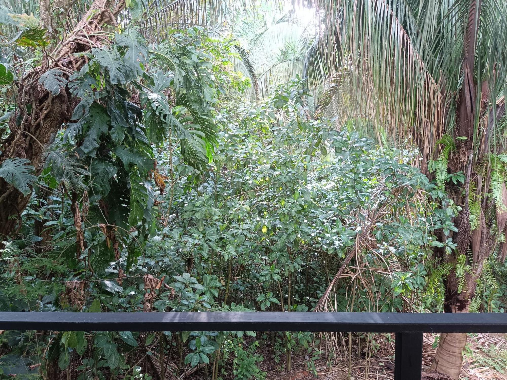 קפוס Selva Linda Lodge Vacation Rentals מראה חיצוני תמונה