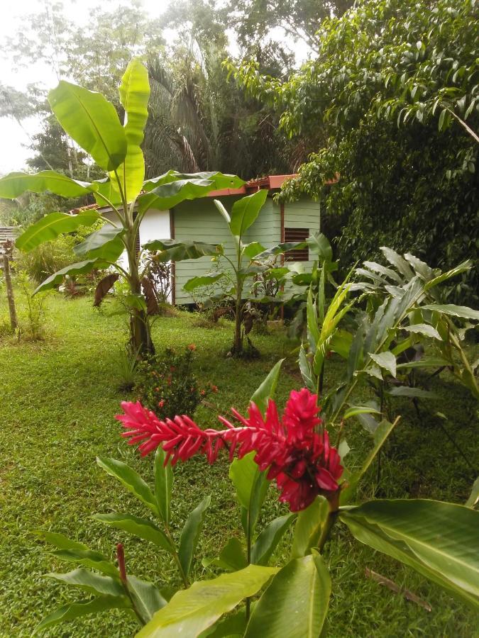 קפוס Selva Linda Lodge Vacation Rentals מראה חיצוני תמונה
